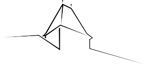 LE MANOIR DE LA MORTIERE