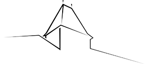 LE MANOIR DE LA MORTIERE